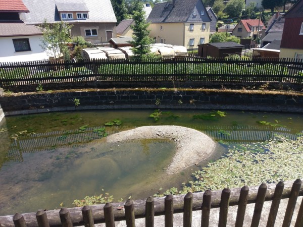 Dorfteich Saupsdorf