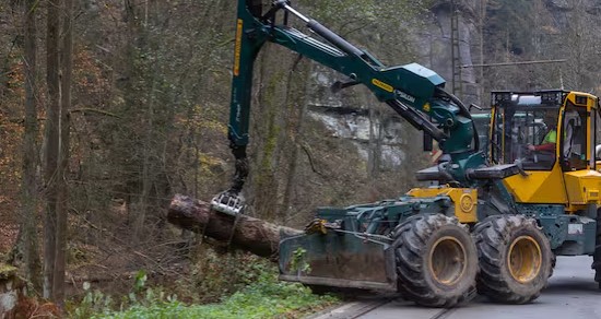 Forstarbeiten KIR eher beendet