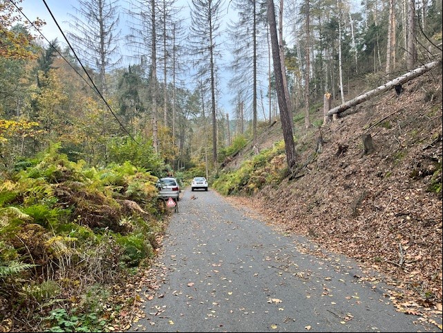 Str Goßdorf nach Baumstürzen