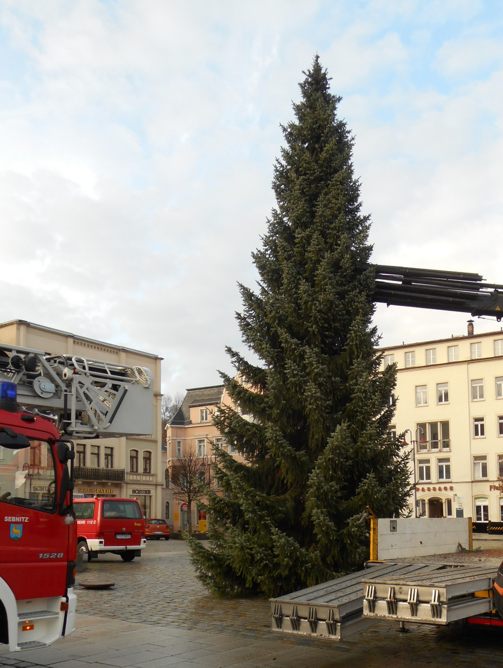 Weihnachtsbaum Markt 2020