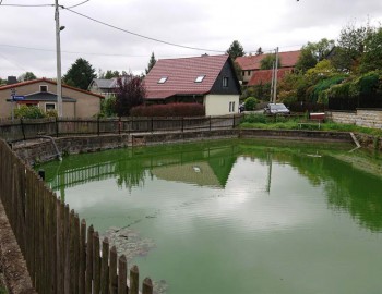 Altendorfer Teich