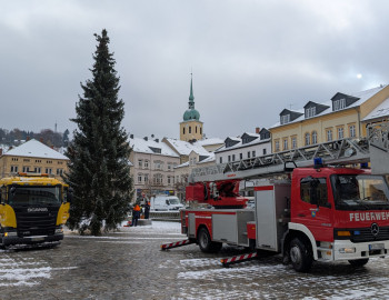 Aufstellen Weihnachtsbaum Markt