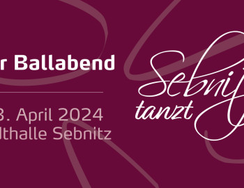 Banner Sebnitz tanzt