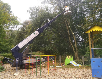 Baumpflegearbeiten Kita