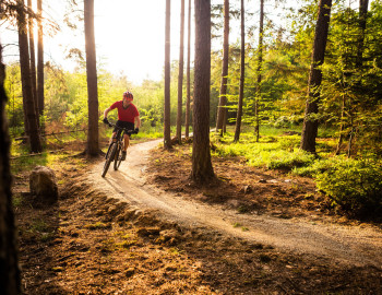 Borderless Trails