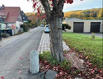 Kirschbäume Gutsweg
