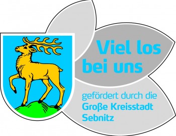 Logo Viel los in Sebnitz