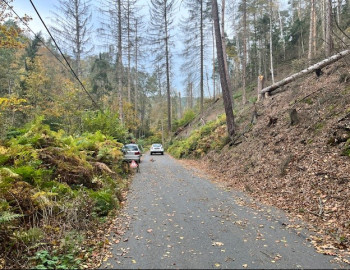 Str Goßdorf nach Baumstürzen