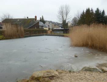 Teich HIN zugefroren