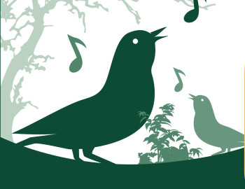 Vogelstimmenwanderung Ottendorf Banner