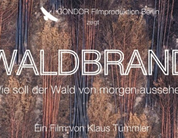 Waldbrandfilm NP klein