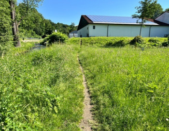 Weg hinter Netto