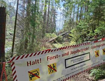 Wettinweg HIN