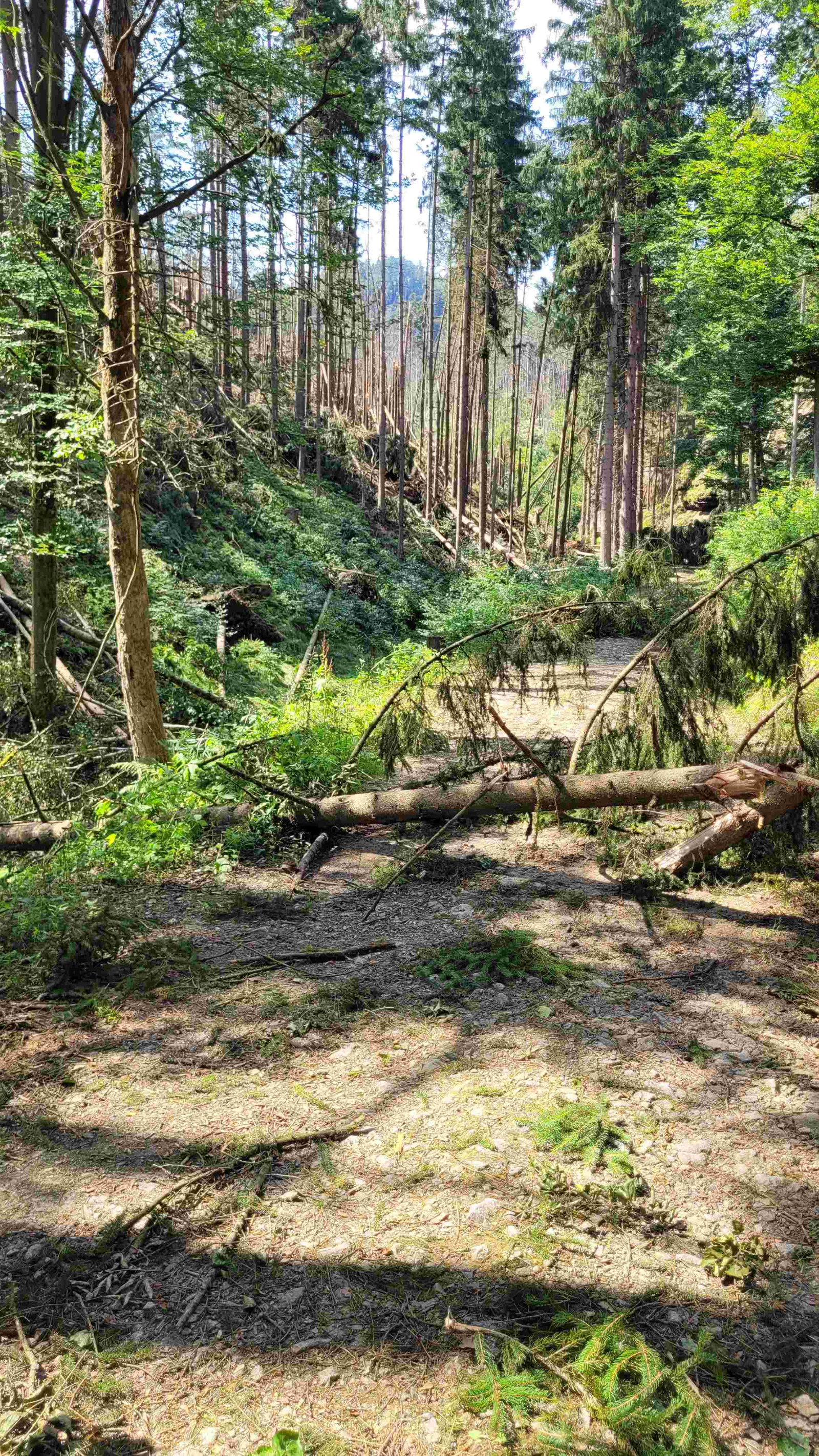 zugebrochene Wege